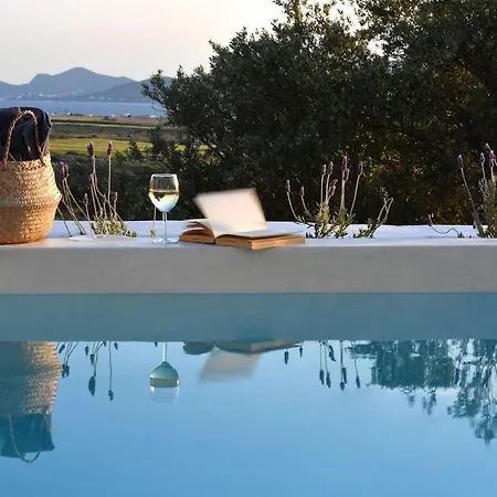 Vila Luxury Paros Thoe Contemporary Luxury 3 Bedrooms