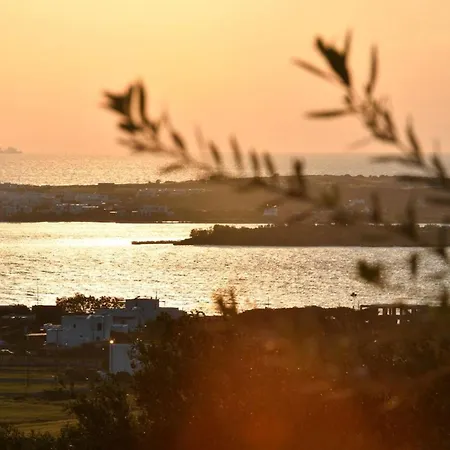 Villa Luxury Paros Thoe Contemporary Luxury 3 Bedrooms Pounda